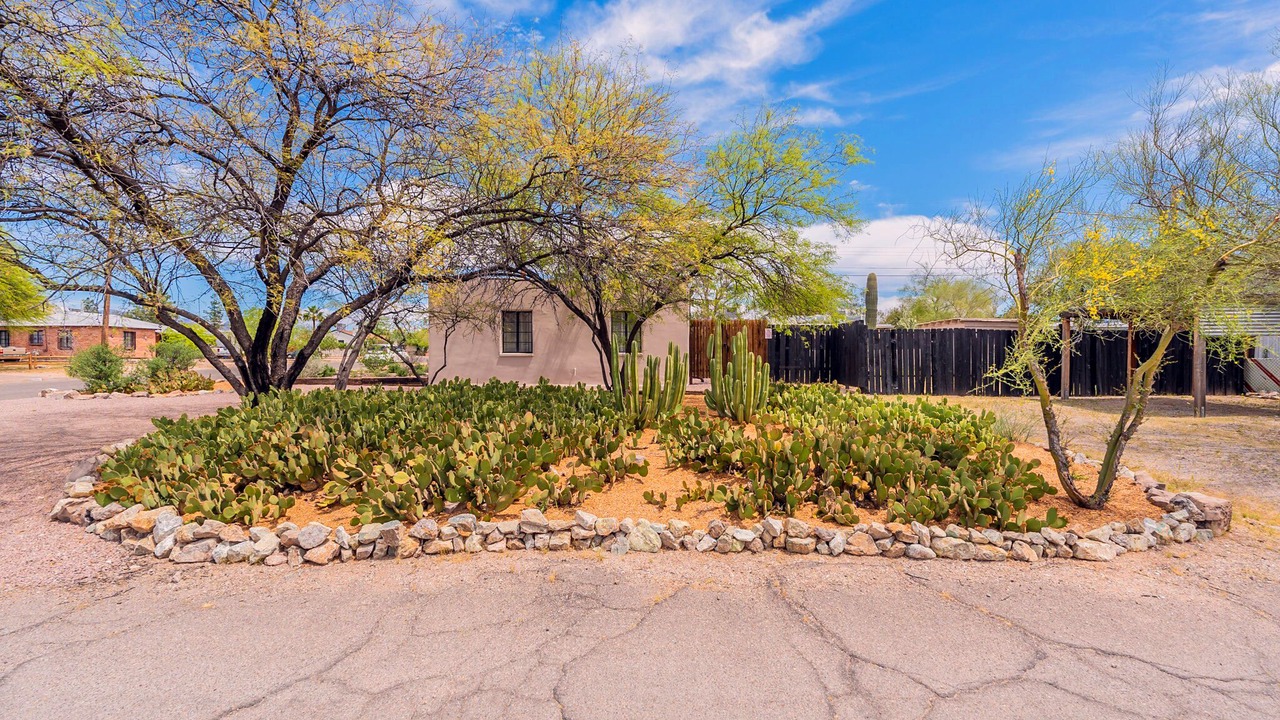 Photo of Outdoor in Blenman-Elm