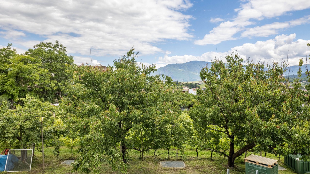 Photo of Outdoor in St. Michael/San Michele