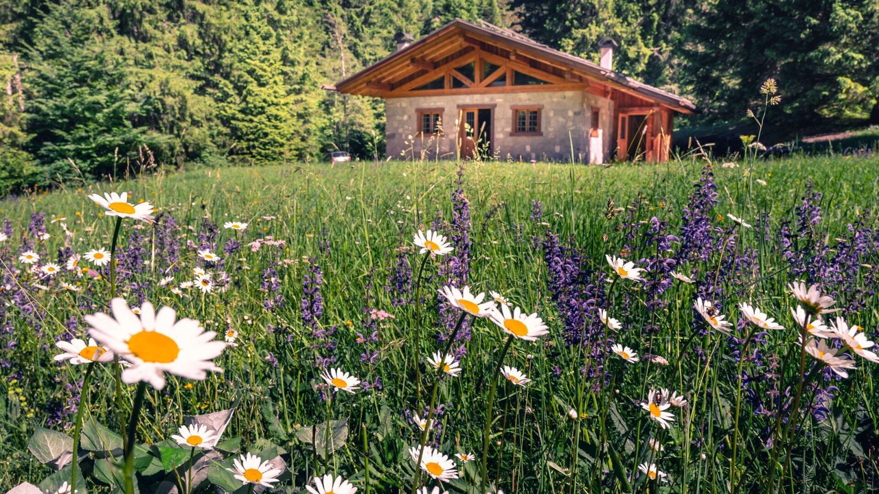Photo of Outdoor in Ragoli