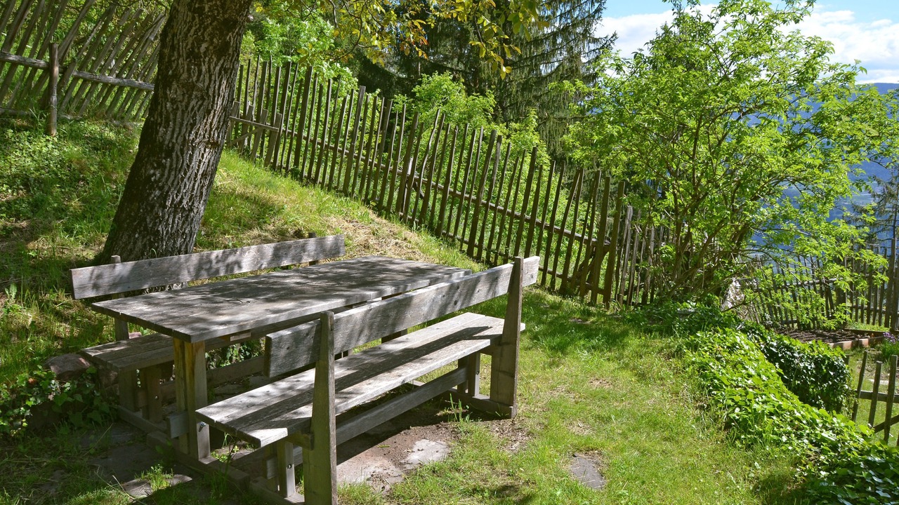 Photo of Outdoor in Verano