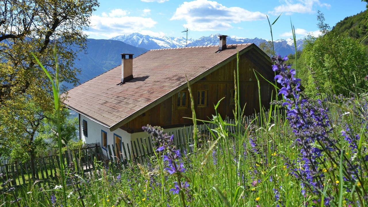 Photo of Outdoor in Verano