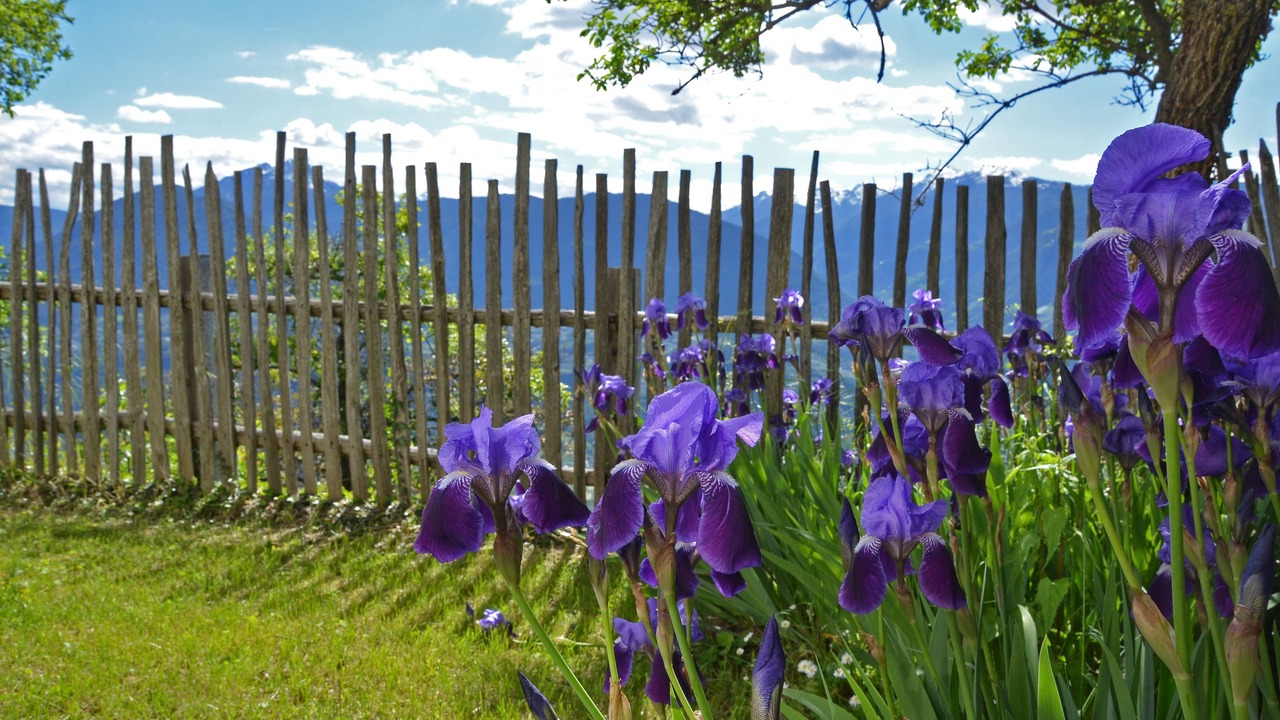 Photo of Outdoor in Verano