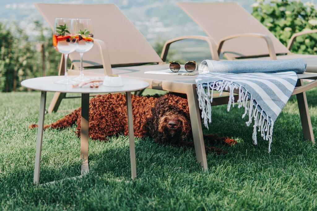 Photo of Outdoor in Cermes