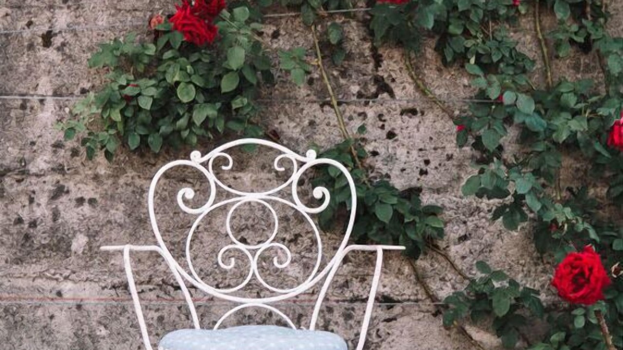 Photo of Outdoor in Cermes
