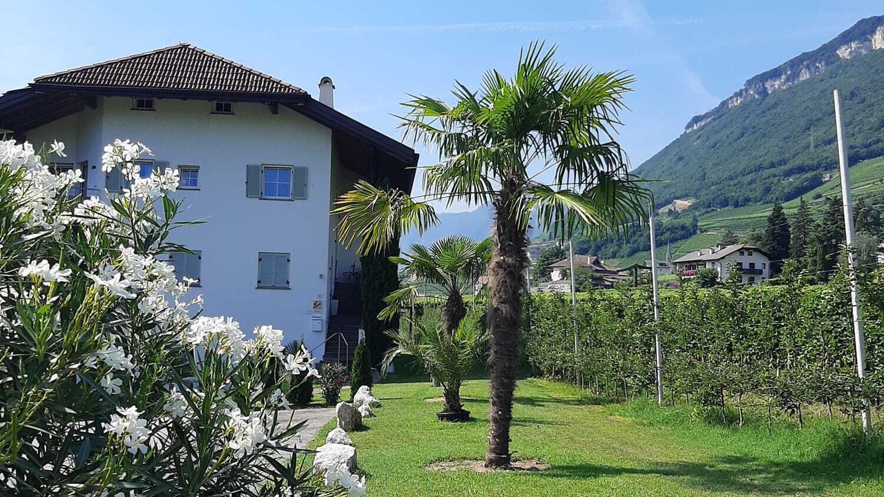 Photo of Outdoor in Tramin