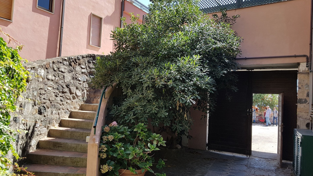 Photo of Outdoor in Cinque Terre