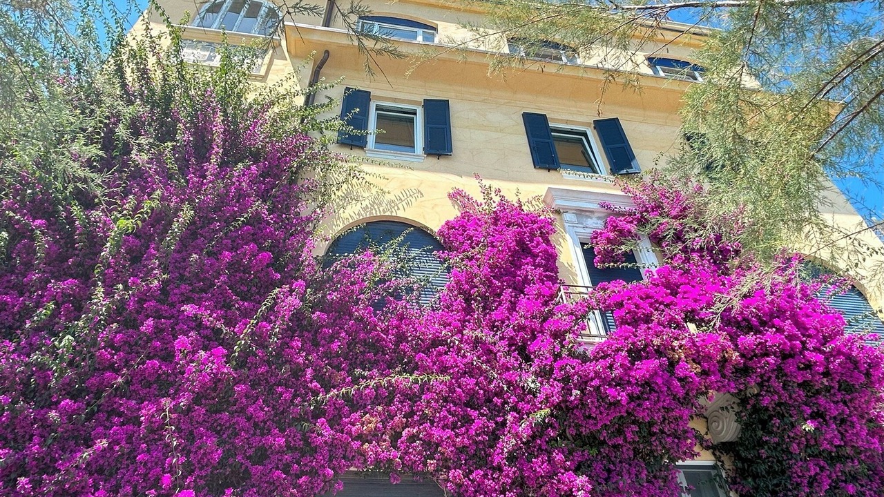 Photo of Outdoor in Cinque Terre