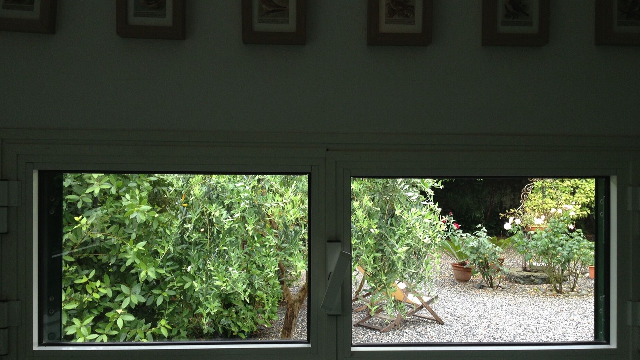 Photo of Others in Cinque Terre