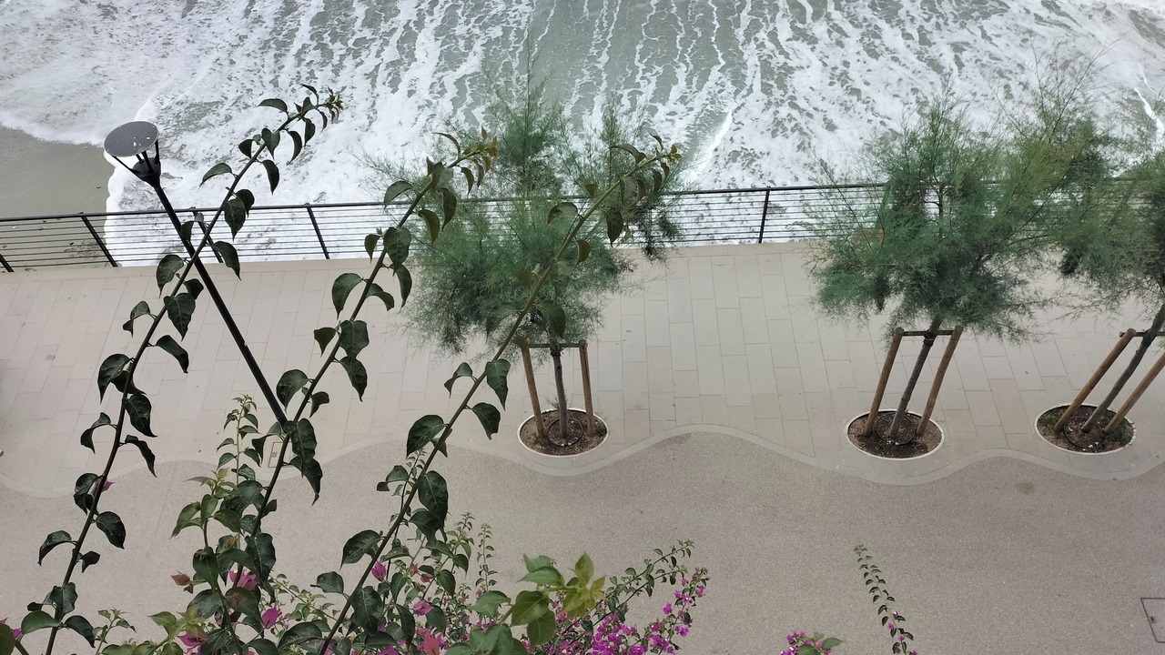 Photo of Others in Cinque Terre