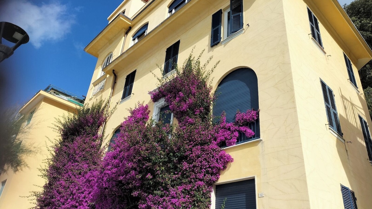 Photo of Outdoor in Cinque Terre