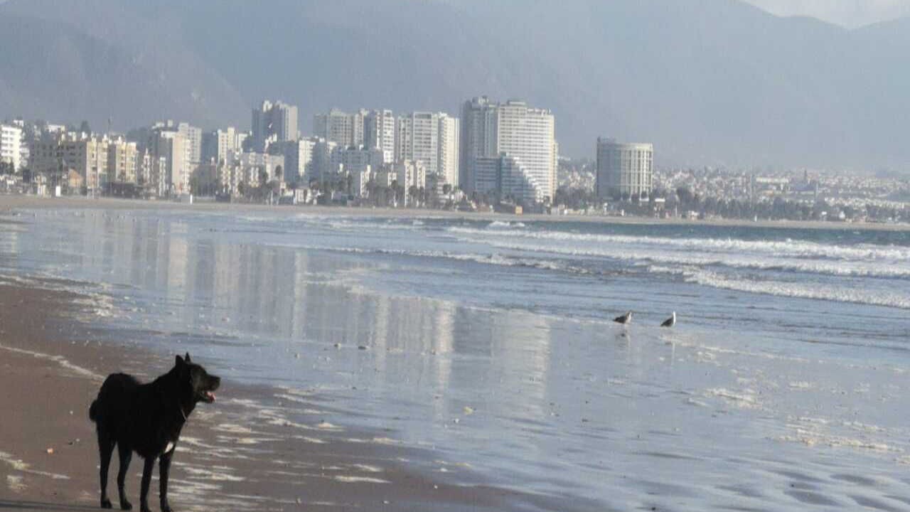 Photo of Others in La Serena