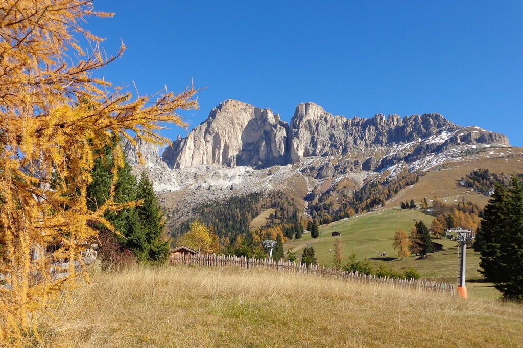 Photo of Others in Carezza