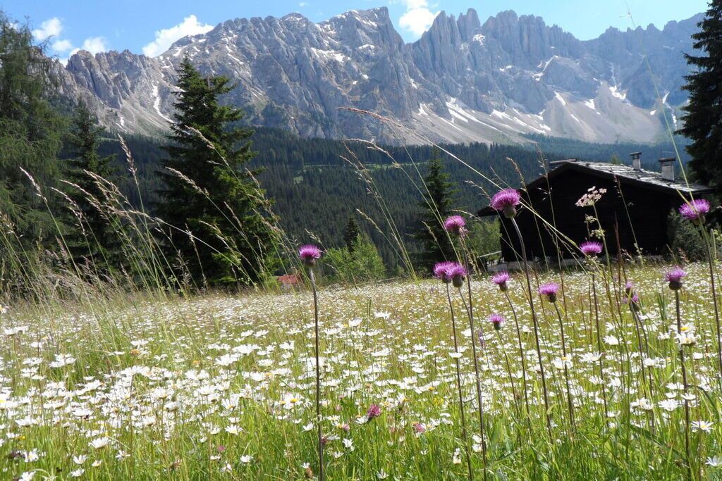 Photo of Others in Carezza