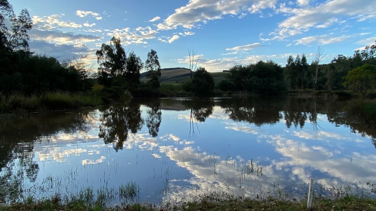 Photo of Others in Greytown