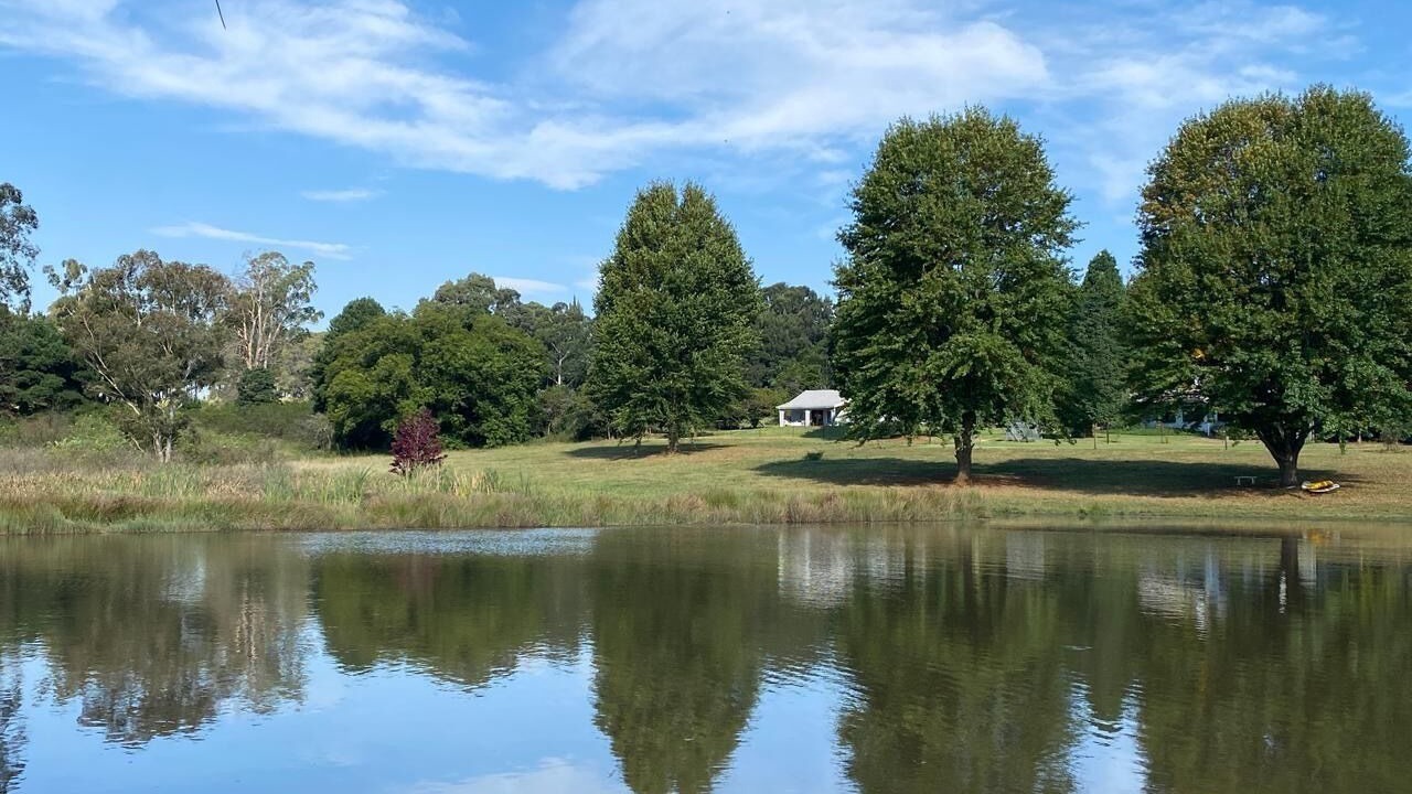 Photo of Outdoor in Greytown