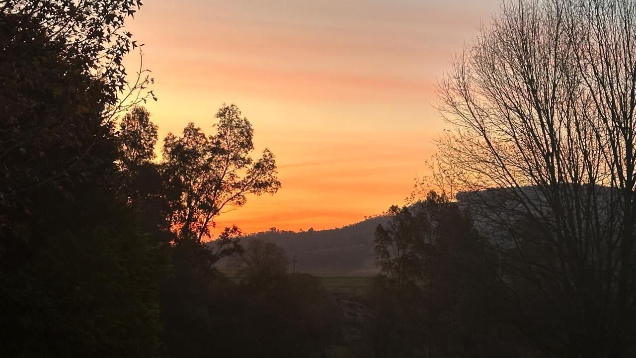 Photo of Others in Greytown