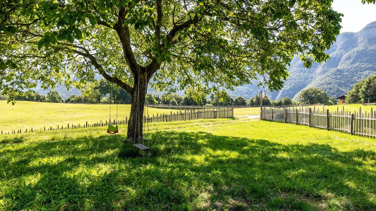 Photo of Outdoor in Ala