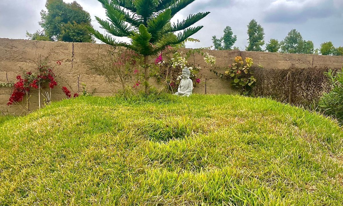 Photo of Outdoor in Lima
