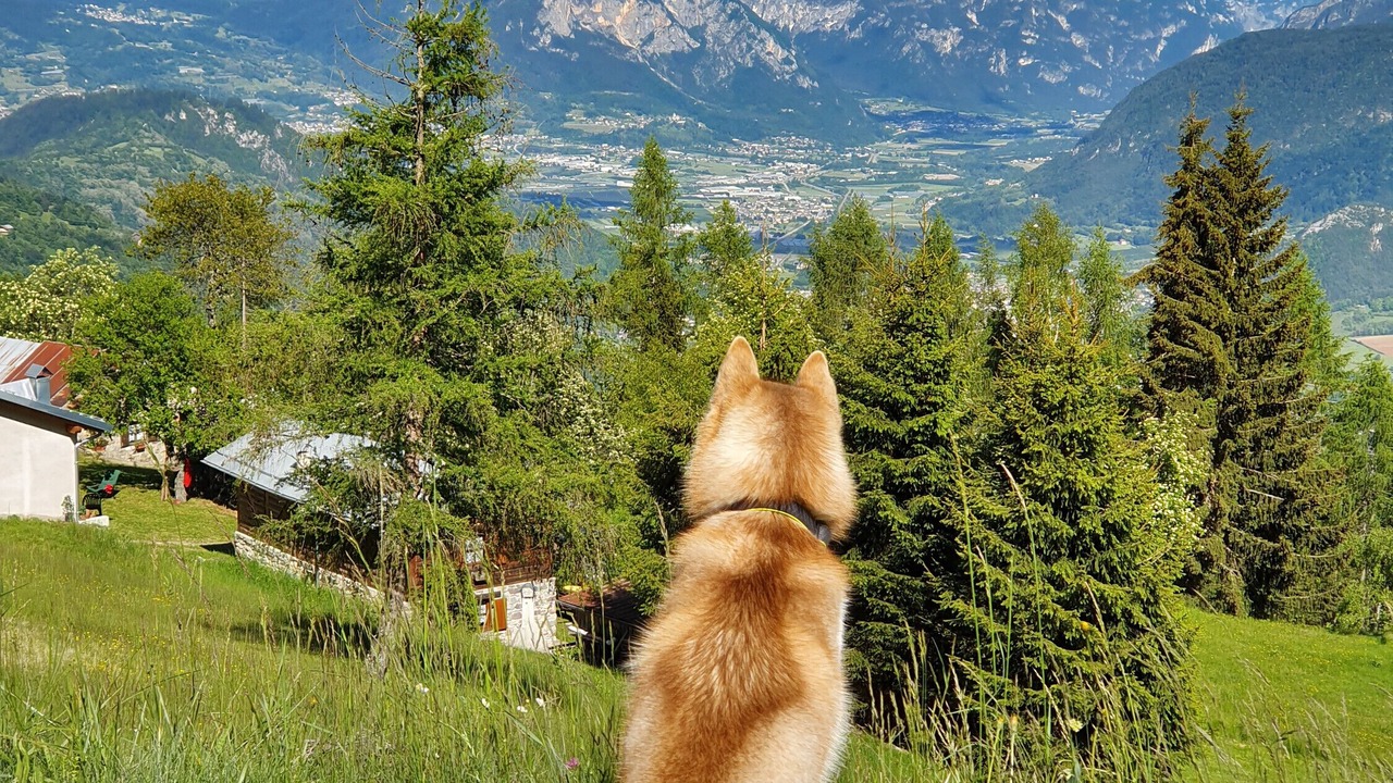 Photo of Outdoor in Roncegno