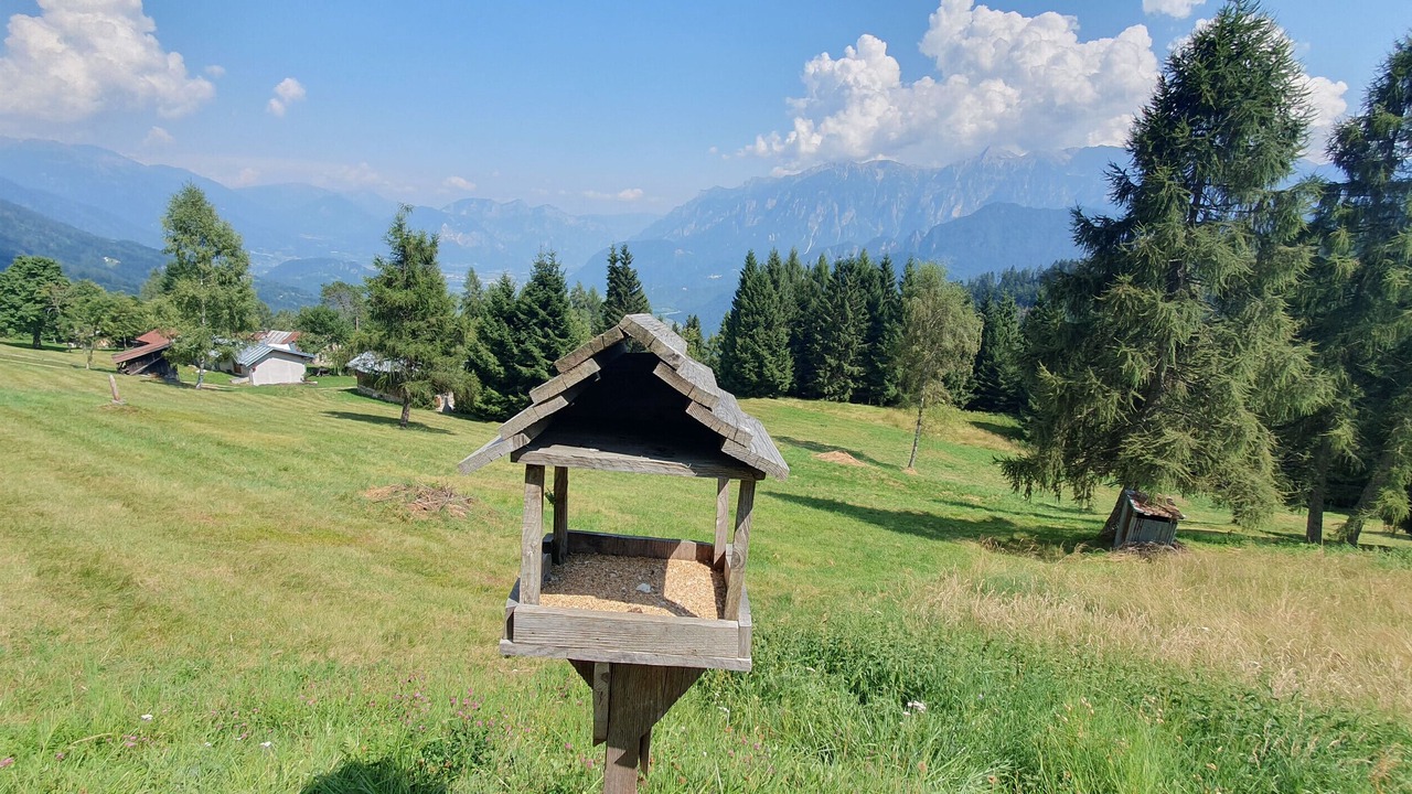 Photo of Outdoor in Roncegno