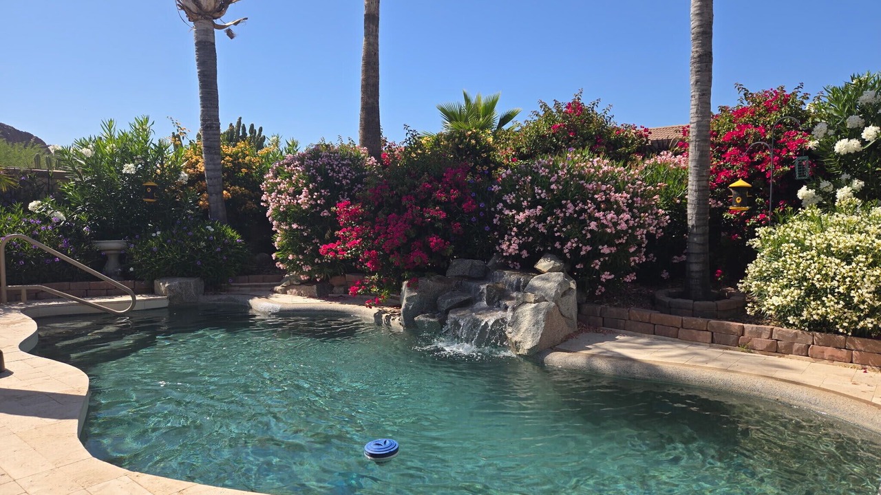 Photo of Outdoor in Gold Canyon