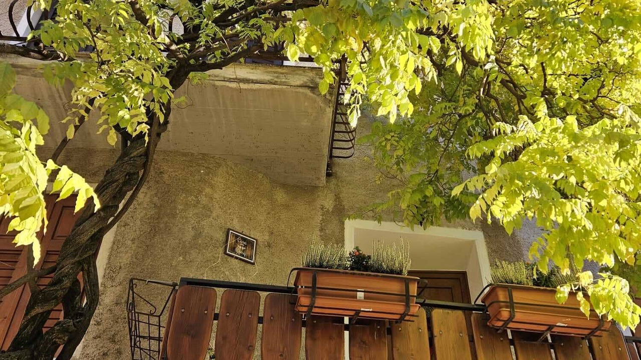 Photo of Outdoor in Rovere della Luna