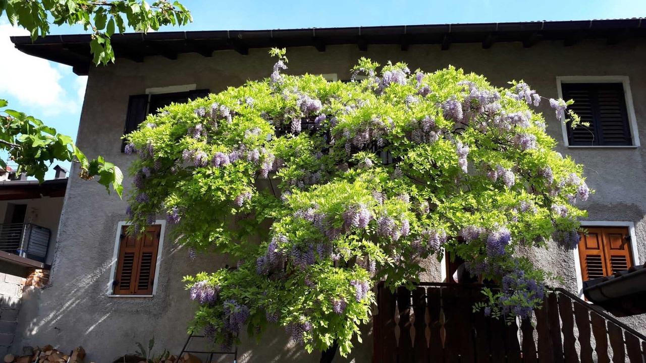 Photo of Outdoor in Rovere della Luna