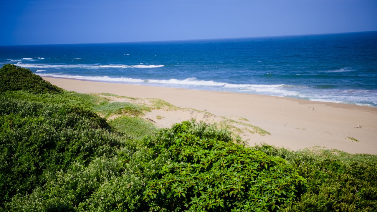 Photo of Others in Amanzimtoti
