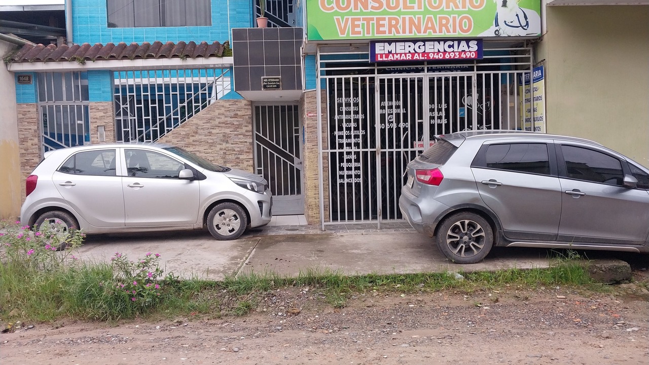 Photo of Outdoor in Moyobamba