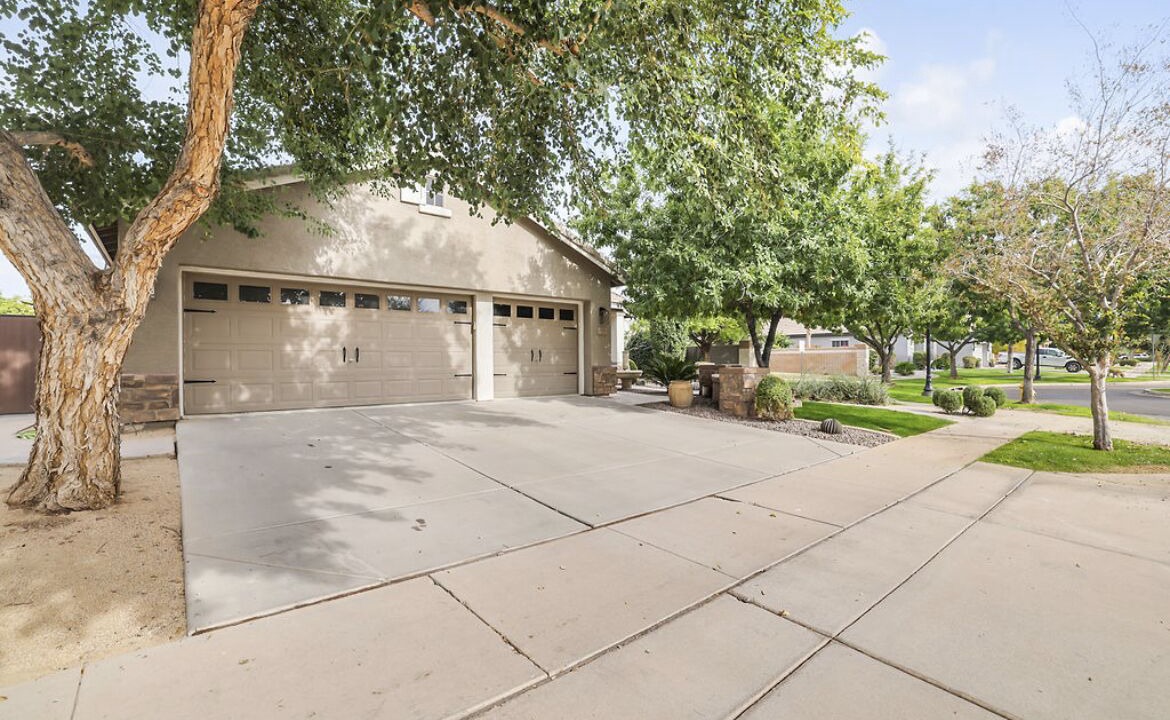 Photo of Outdoor in Higley Groves