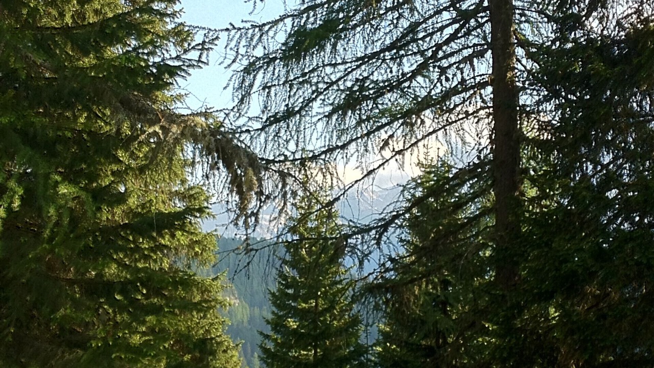 Photo of Others in Caprile