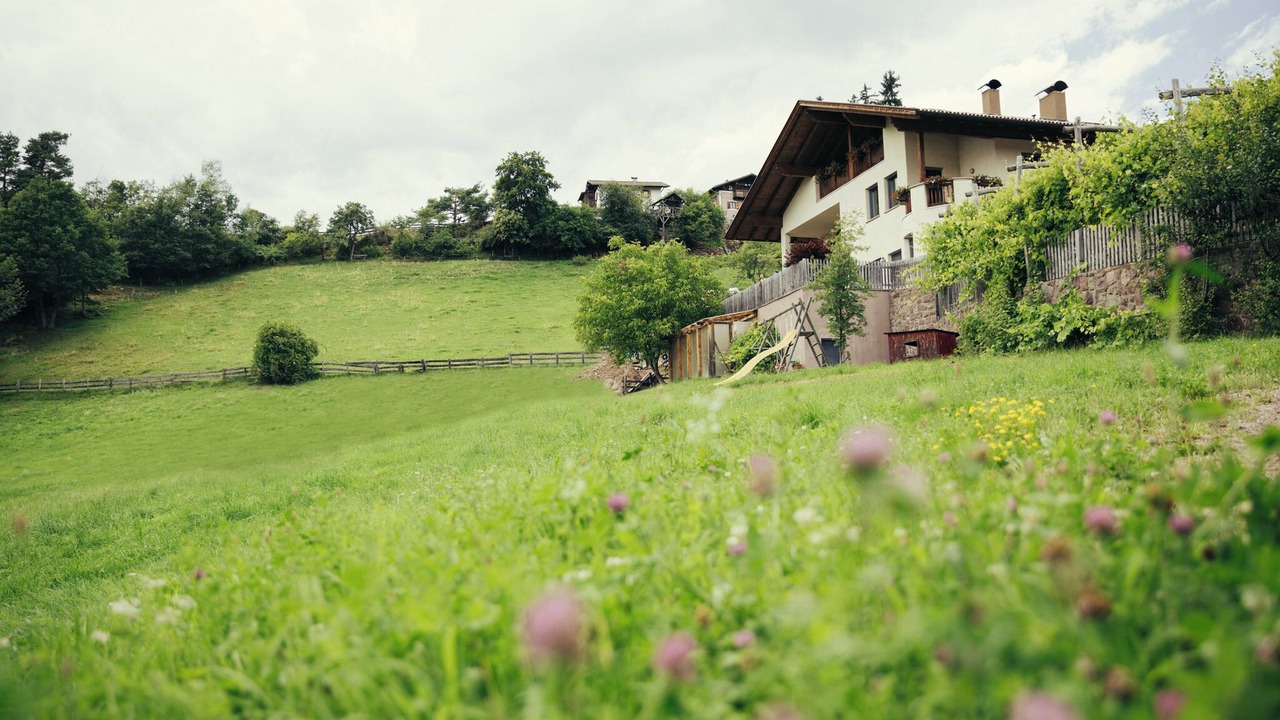 Photo of Outdoor in Verano