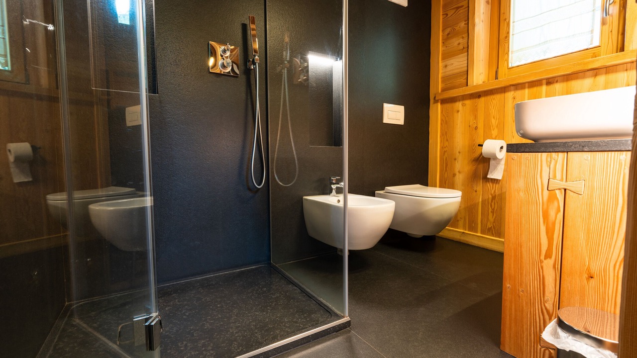 Photo of Bathroom in Carisolo