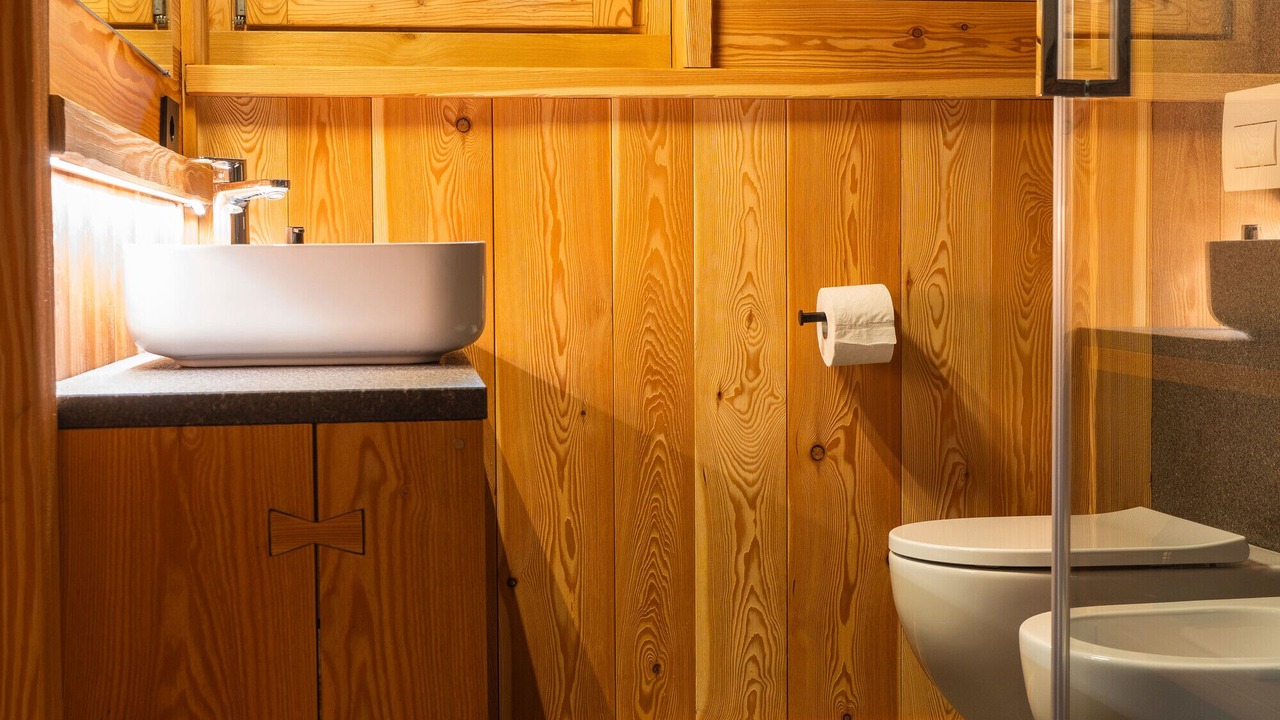 Photo of Bathroom in Carisolo