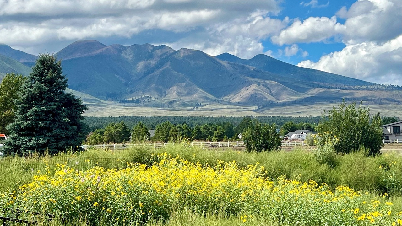 Photo of Others in Flagstaff