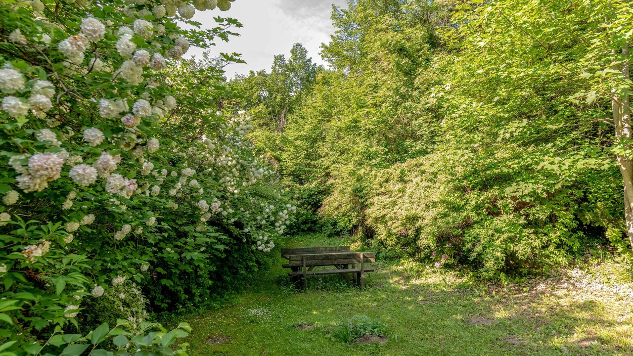 Photo of Outdoor in San Lorenzo Dorsino