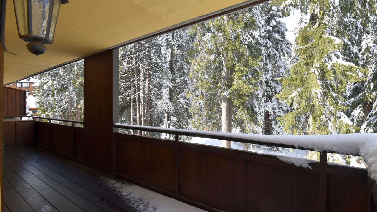 Photo of Patio Balcony in Campo Carlo Magno
