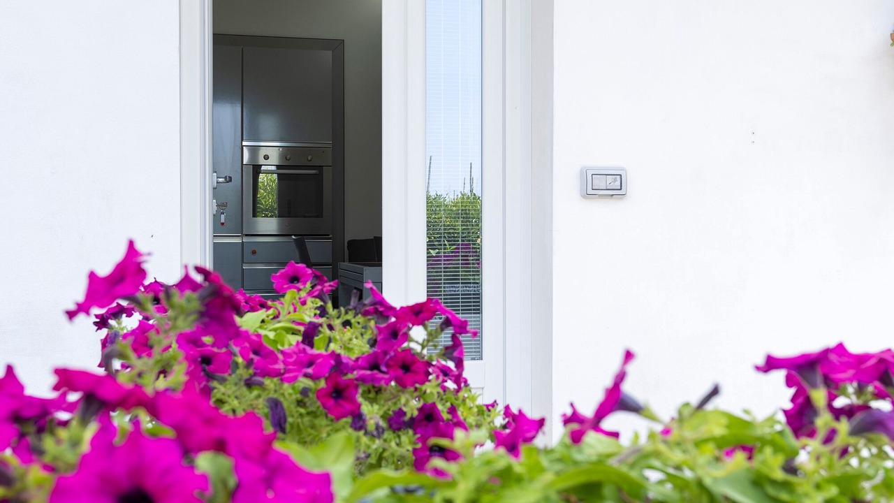 Photo of Outdoor in San Lazzaro