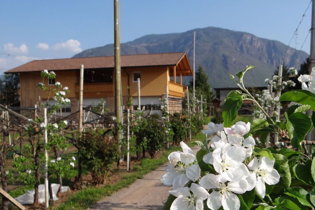 Photo of Outdoor in Gries - Quirein