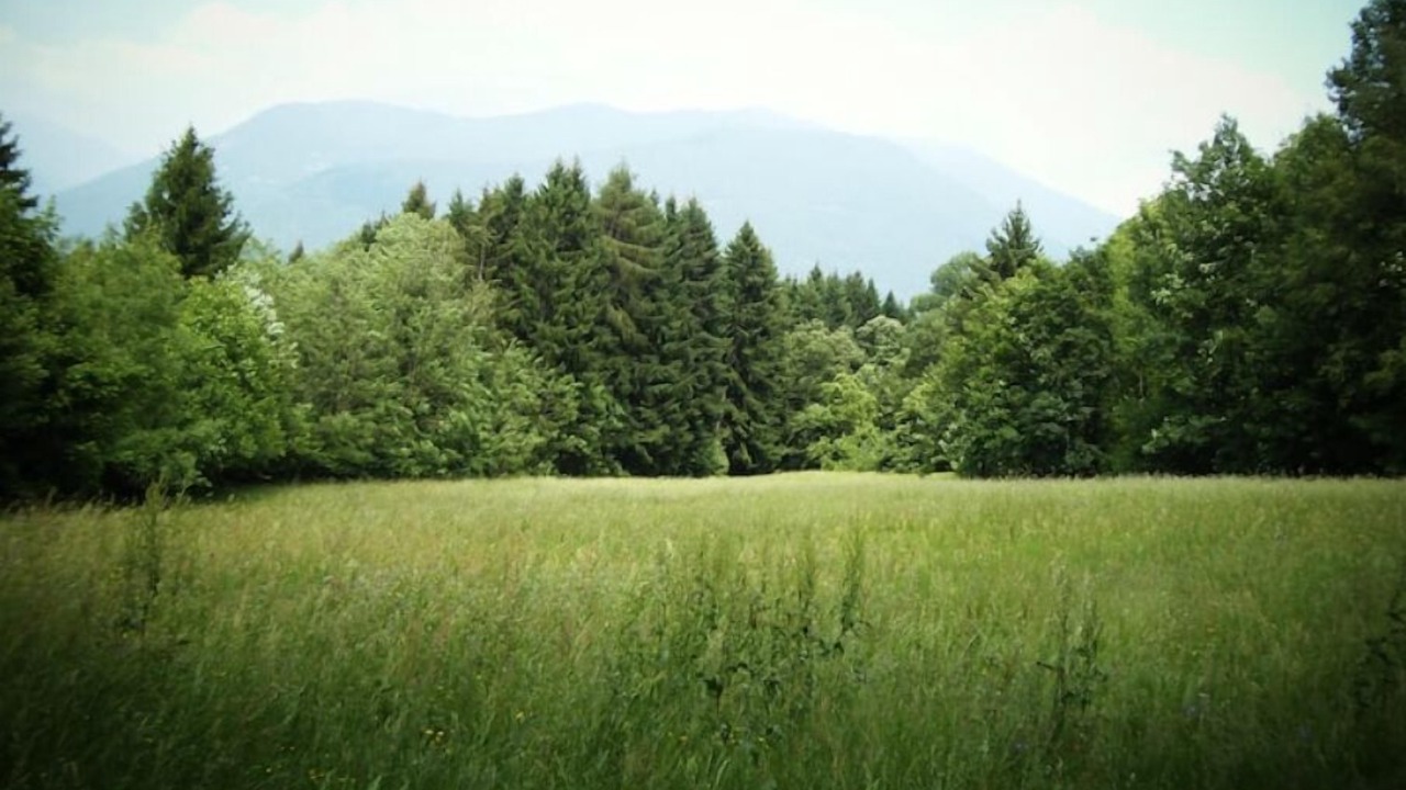 Photo of Outdoor in Vattaro