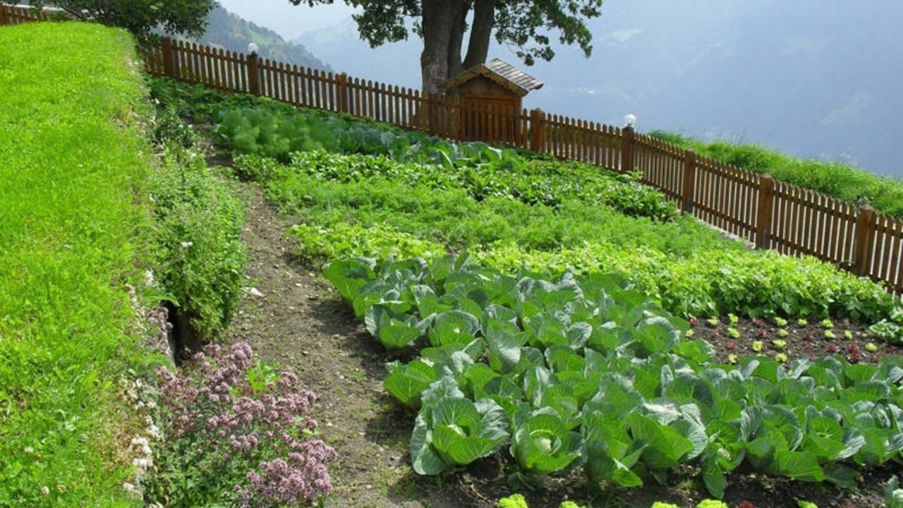 Photo of Outdoor in Naturno
