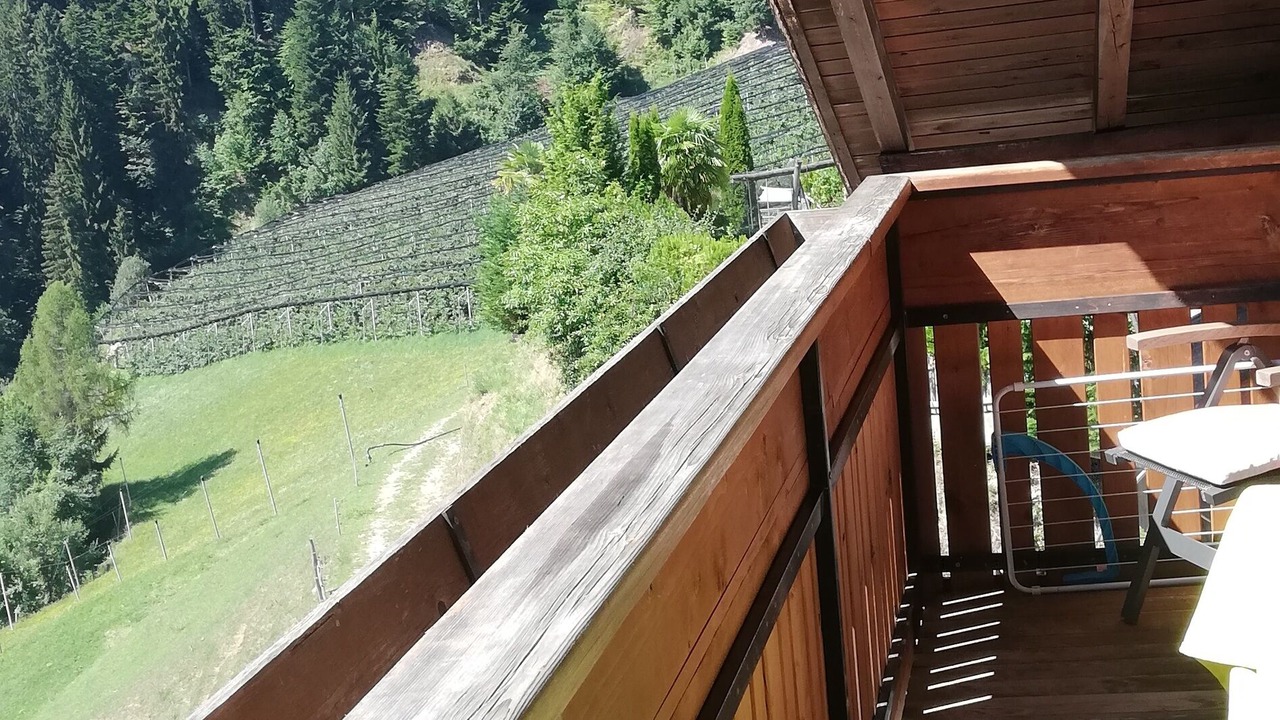 Photo of Outdoor in Foiana