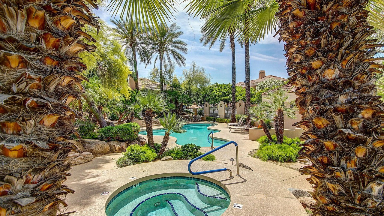 Photo of Others in South Scottsdale