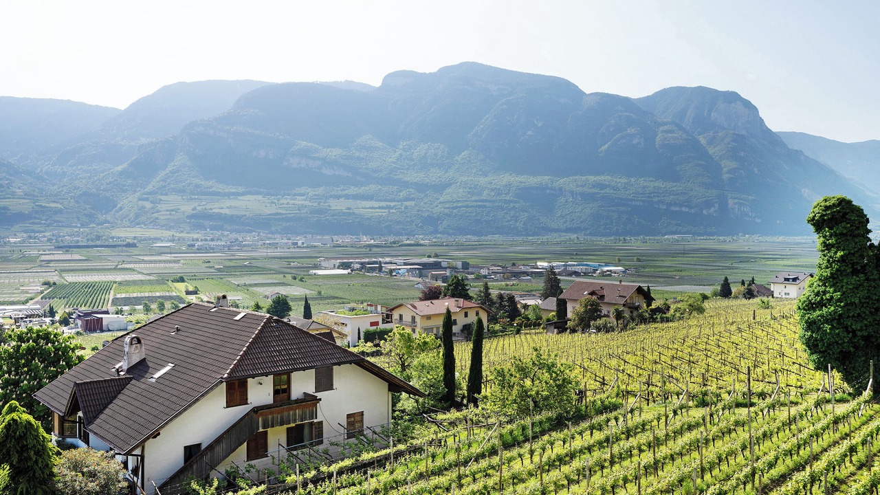 Photo of Others in Tramin