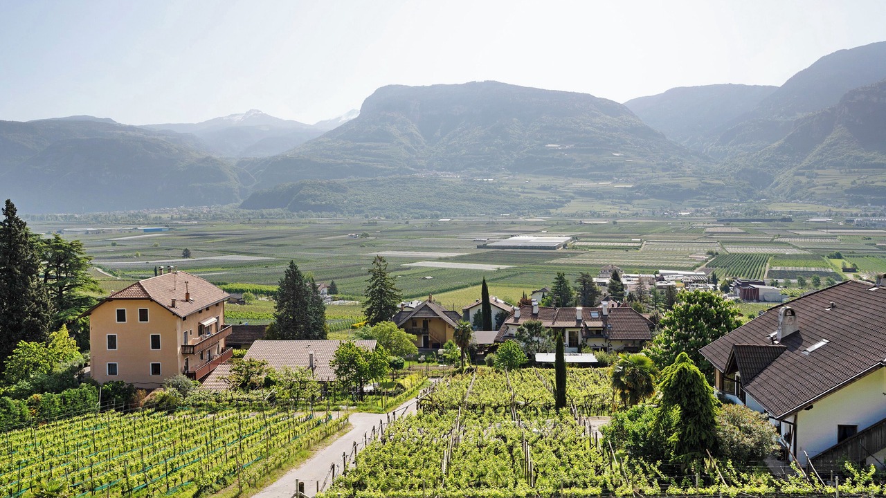 Photo of Others in Tramin