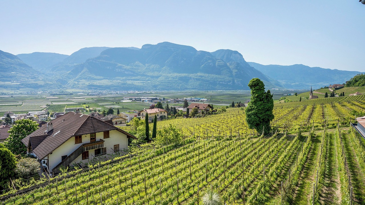 Photo of Others in Tramin