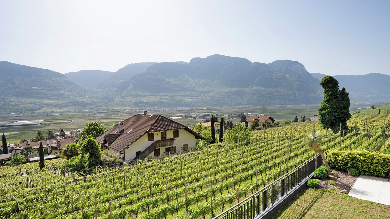 Photo of Others in Tramin