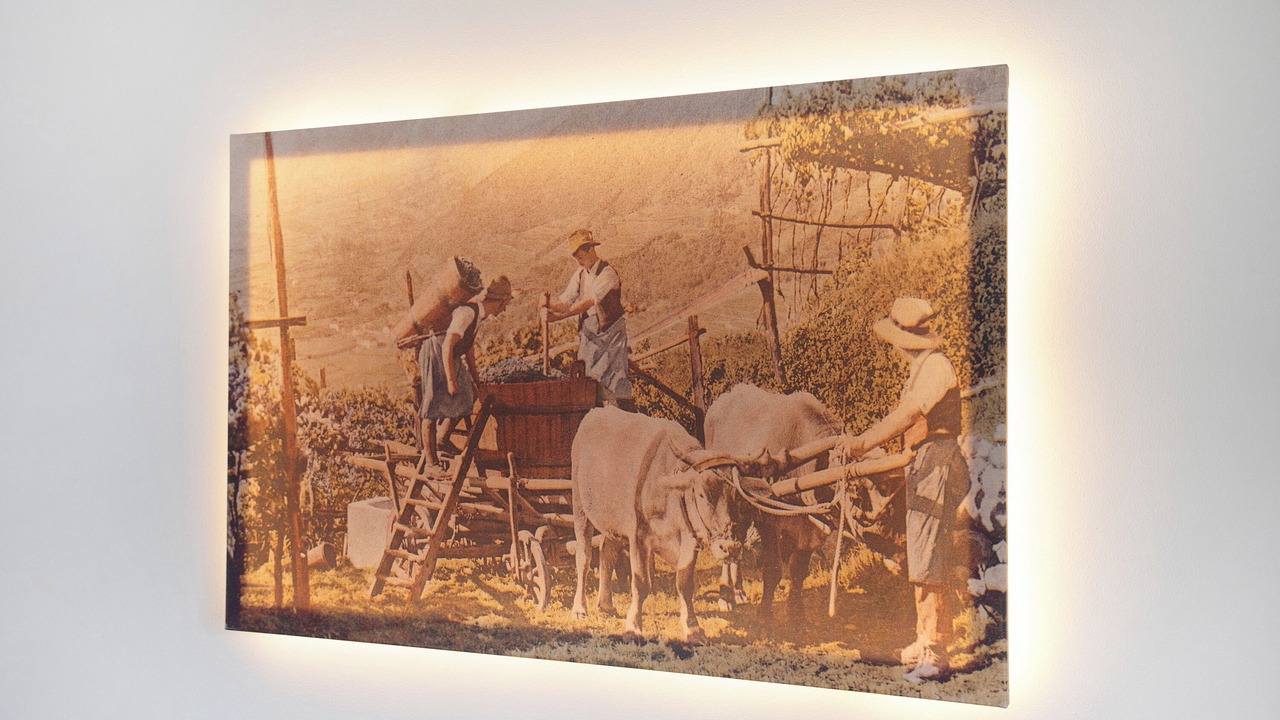 Photo of Others in Tramin