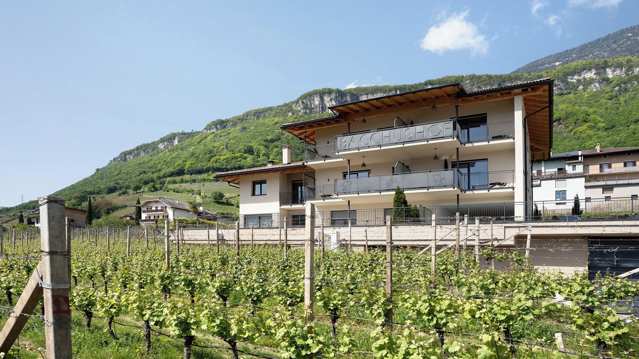 Photo of Outdoor in Tramin
