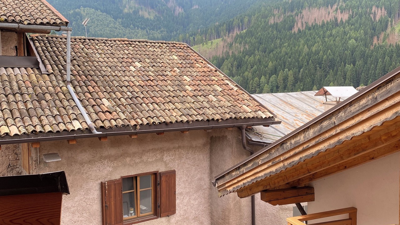 Photo of Outdoor in Sicina
